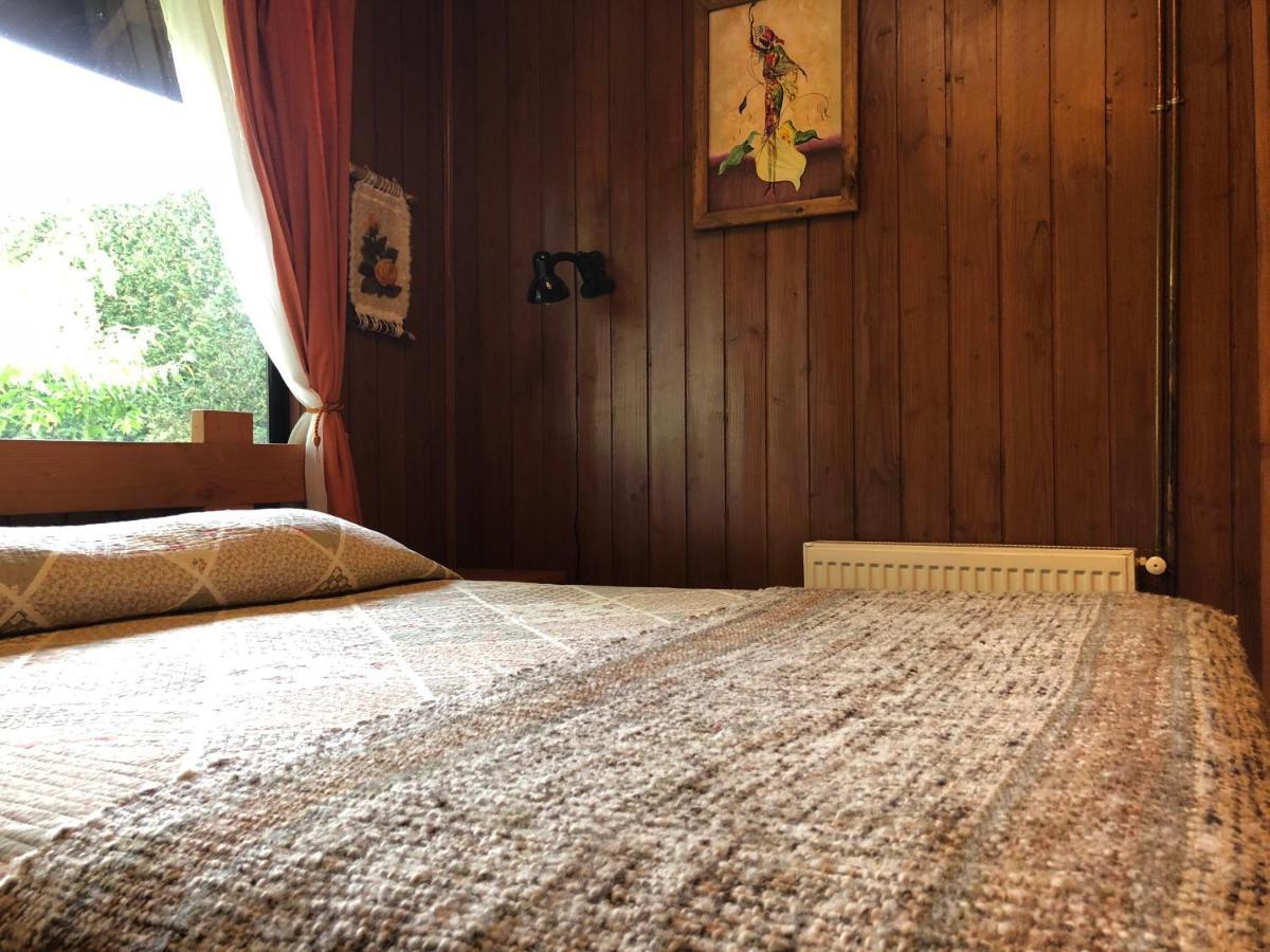 Hostal El Nogal Pucón Kültér fotó