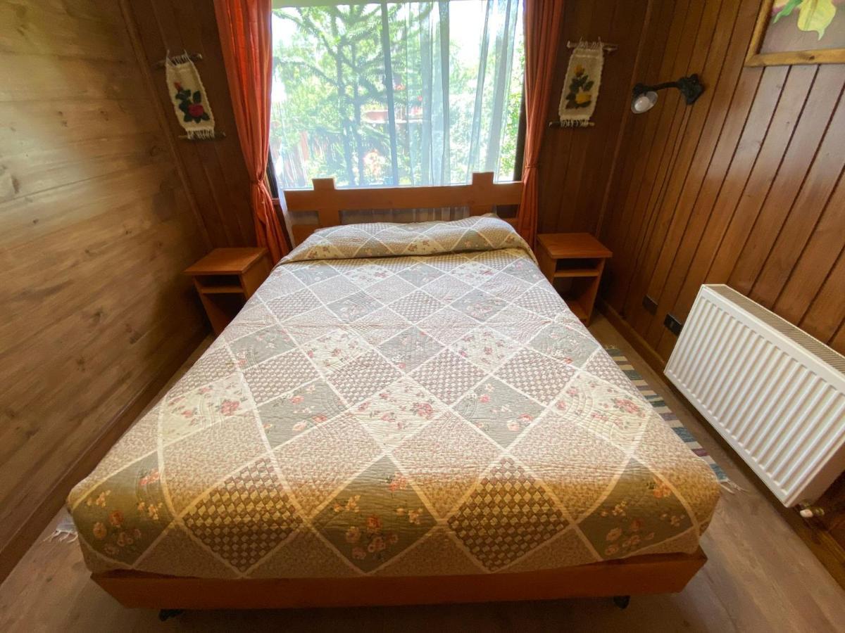 Hostal El Nogal Pucón Kültér fotó