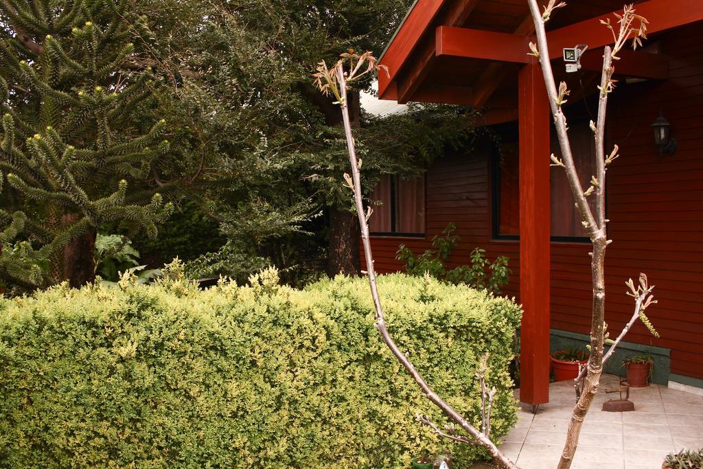 Hostal El Nogal Pucón Kültér fotó