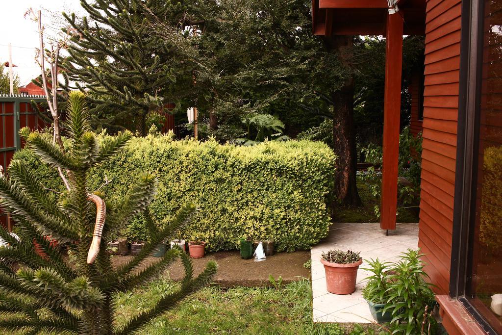 Hostal El Nogal Pucón Kültér fotó